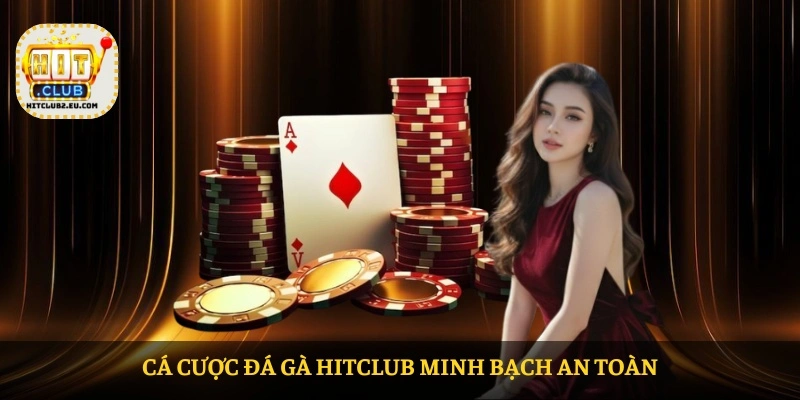 Cá cược Đá gà HITCLUB minh bạch an toàn Cá cược Đá gà HITCLUB minh bạch an toàn