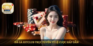Đá gà HITCLUB trực tuyến tỷ lệ cược hấp dẫn