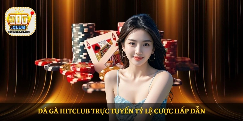 Đá gà HITCLUB trực tuyến tỷ lệ cược hấp dẫn Đá gà HITCLUB trực tuyến tỷ lệ cược hấp dẫn
