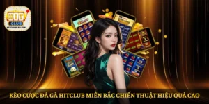 Kèo cược đá gà HITCLUB Miền Bắc chiến thuật hiệu quả cao