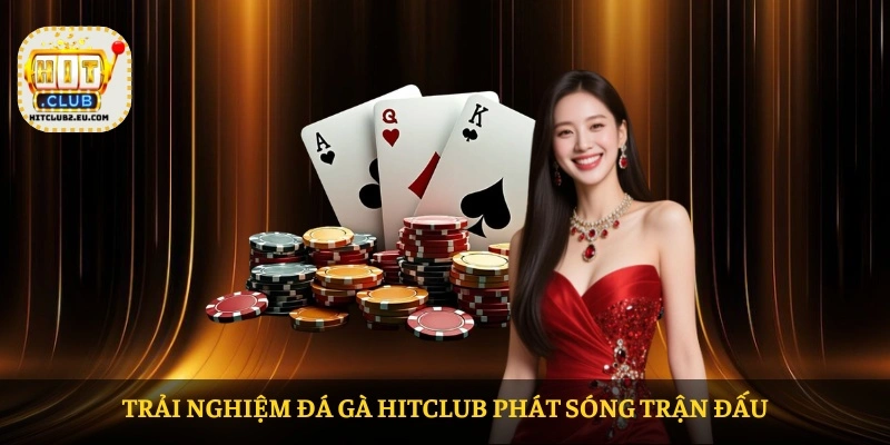 Trải nghiệm Đá gà HITCLUB phát sóng trận đấu Trải nghiệm Đá gà HITCLUB phát sóng trận đấu